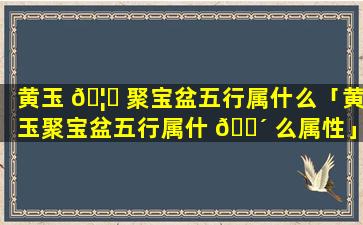 黄玉 🦈 聚宝盆五行属什么「黄玉聚宝盆五行属什 🌴 么属性」